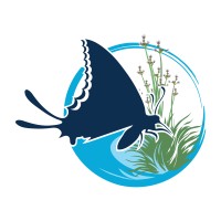 Swallowtail logo - Similar company to H2Ozarks