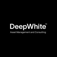DeepWhite™ logo - Similar company to Fintech Solutions Llc