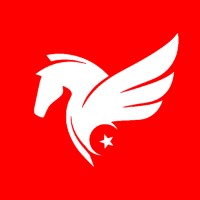 Moon Star Robotics logo - Similar company to Novatron 10202