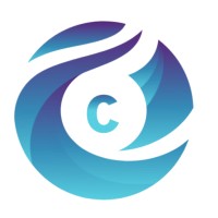 CodyNest Technologies logo - Similar company to Brandwaves