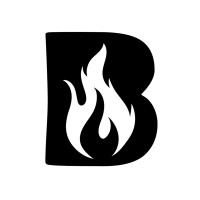 Blaze Capital logo - Similar company to Why Creative Agency