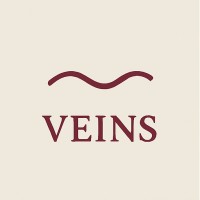 veins.agency logo - Similar company to Fulcrum Lng, Inc.