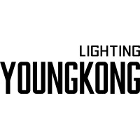 Youngkong Lighting logo - Similar company to Larica Led Products Pvt Ltd