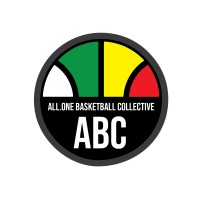 All.One Basketball logo - Similar company to Nibs Technical College