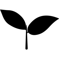 The Startup Builder