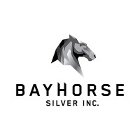 Bayhorse Silver Inc. logo - Similar company to Bamrm Projects