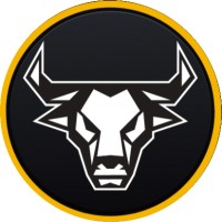 Pro_Chartist logo - Similar company to Sims Infotech