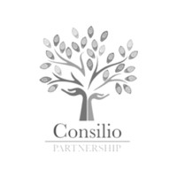 Consilio Partnership logo - Similar company to The Autism Apprentice Cic