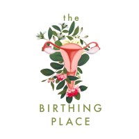 The Birthing Place Foundation logo - Similar company to Debate Spaces