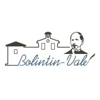 Primăria Orașului Bolintin-Vale logo - Similar company to Goprea Software