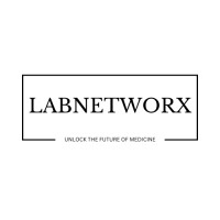 Labnetworx logo - Similar company to Taj It Solutions