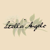 Stella Angelo logo - Similar company to Oaklun Capital