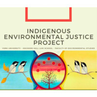 Indigenous Environmental (in)Justice (IEJ) Project -BACK UP logo - Similar company to Queen'S Native Student Association