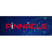 Pinnacle Digital Analytics Pvt. Ltd. logo - Similar company to Mcb Labs Gmbh