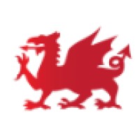 Red Dragon I.t. Ltd.