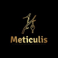 Meticulis logo - Similar company to Chakray Uk
