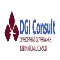 DGI Consult (Development Governance International Consult) logo - Similar company to Advis-Pwds Adamawa Disability & Vulnerable Support Initiative