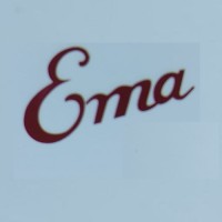 Ema Rubber Indusrtries logo - Similar company to Technix Rubber Llp