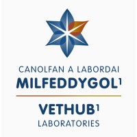 VetHub1 | Canolfan a Labordai Milfeddygol1 logo - Similar company to Eastbio Dtp
