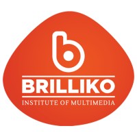 Brilliko Institute of Multimedia logo - Similar company to Dishant Web Solution