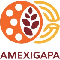 AMEXIGAPA AC logo - Similar company to Concamin Us