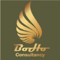 BoHo Consultancy logo - Similar company to Mango Mobility