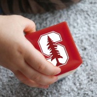 Stanford Center on Early Childhood logo - Similar company to Stanford Accelerator For Learning