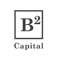 Beta Bridge Capital logo - Similar company to Pdpvc