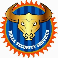 Bulls Security Services logo - Similar company to Mk Security Ltd