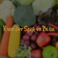 K. van der Spijk en Zn b.v. logo - Similar company to Avojoy