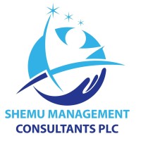 Shemu Management Consultants PLC logo - Similar company to Shemu Group
