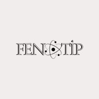 Fenotip Gazete logo - Similar company to Yitik Ajans - Tam Yetkili Gazete İlan Ve Reklam Ajansı