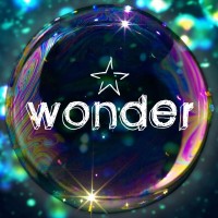 WONDER Festival logo - Similar company to Antwerp Design Factory
