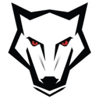CyberWolf Solutions (Pvt) Ltd logo - Similar company to Infinitix It Solutions