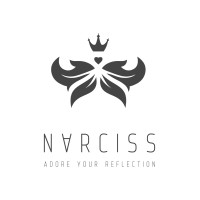 NARCISS logo - Similar company to High Magic