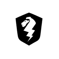 Thunderbolt logo - Similar company to Down To Shop