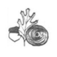 Pacific Lumber Company logo - Similar company to Atlas Supply, Inc.