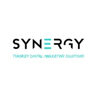 Synergy Digital Marketing logo - Similar company to Tech Solutions Inc.