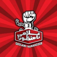 The Real Voice of Pakistani Nation logo - Similar company to Dynamic Creativity