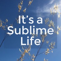 It's a Sublime Life logo - Similar company to Inside Property Investing