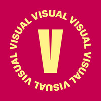 Vanguard Visual Perth logo - Similar company to Wanimate - Western Australian Animation Association