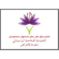coopérative Ait Bouali logo - Similar company to Entreprise Bouali Des Études Et Des Réalisations