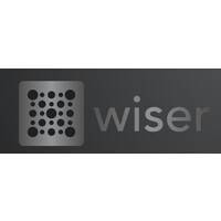 Wiser Team logo - Similar company to Oásis Wiser Team
