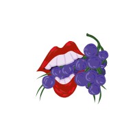 Grapevine Zine logo - Similar company to Statement Of