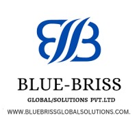 Blue Briss Global Solutions Pvt. Ltd.