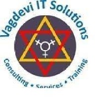 VAGDEVI IT SOLUTIONS PRIVATE LIMITED logo - Similar company to Beyond Social