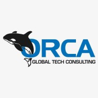 Orca Global Tech Consulting logo - Similar company to Orca Technologies