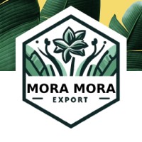Mora mora export logo - Similar company to Webline - Agence Digitale