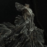 Web 3.0 per il lusso logo - Similar company to Monduzzi Editoriale Srl