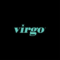 Virgo Global Inc. logo - Similar company to 2B Studio